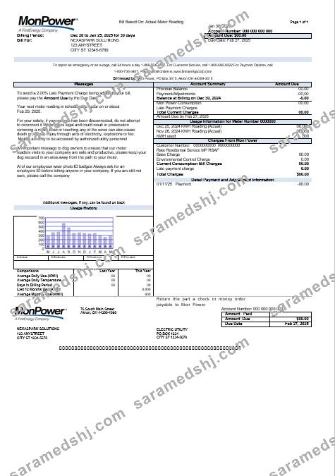 USA Mon Power business utility bill template in Word and PDF formats